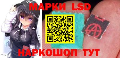 гидра Краснознаменск