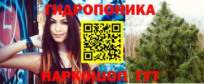 гидра Краснознаменск