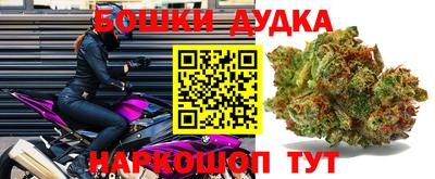 гидра Краснознаменск