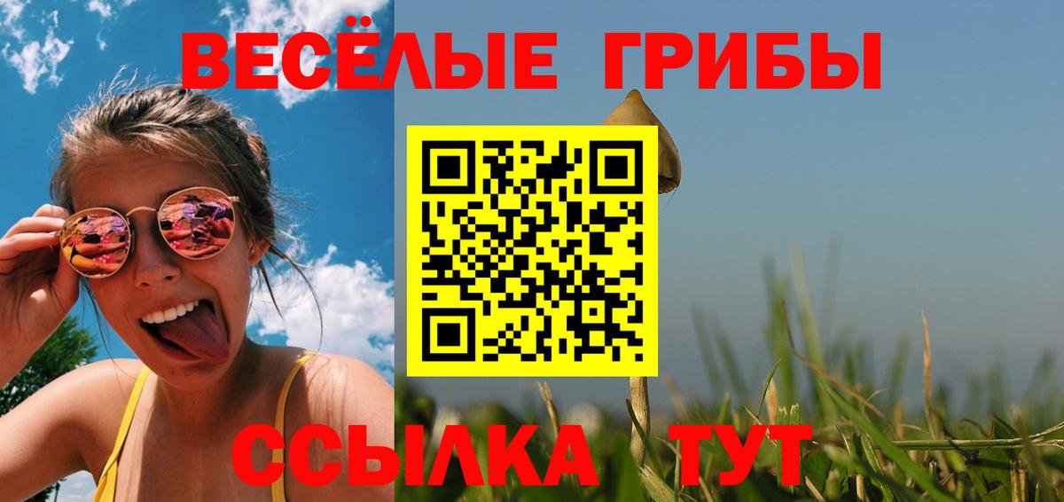 Псилоцибиновые грибы ЛСД  Псилоцибиновые грибы MAGIC MUSHROOMS  наркота  Шахты  Вход с VPN 